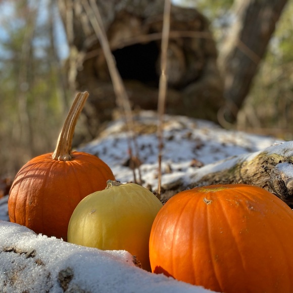 😊Extra Discounts Available When Bundled To Save $ 😊 - Picture 3 of 3